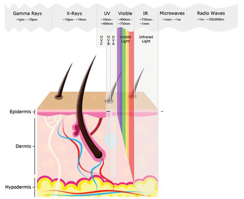 میزان نفوذ طول موج های مختلف در پوست
