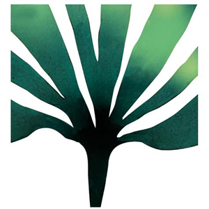 جلبک ماسک ورقه ای لیفتینگ تالگو در نمایندگی تالگو شیدلون